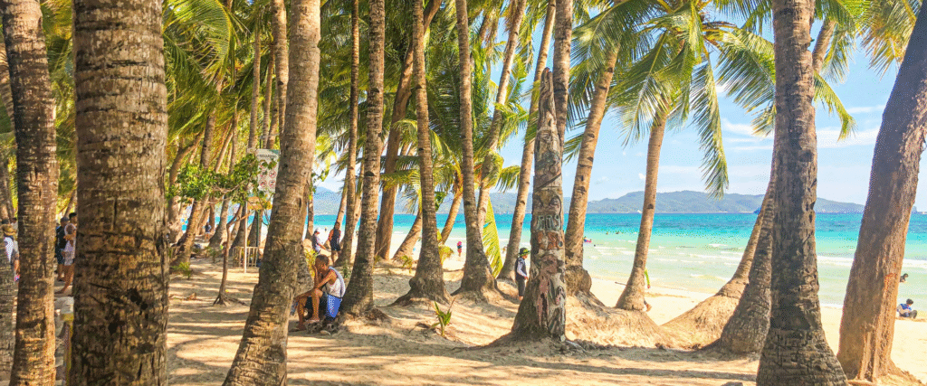 Boracay webiste (2)