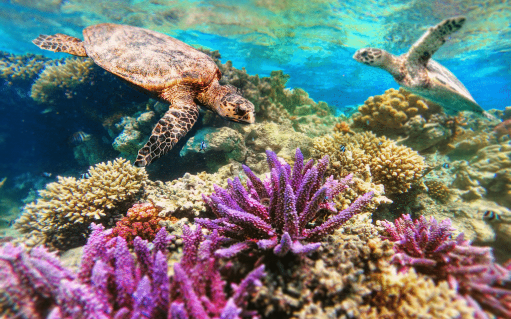 Cebu tour packages (5)