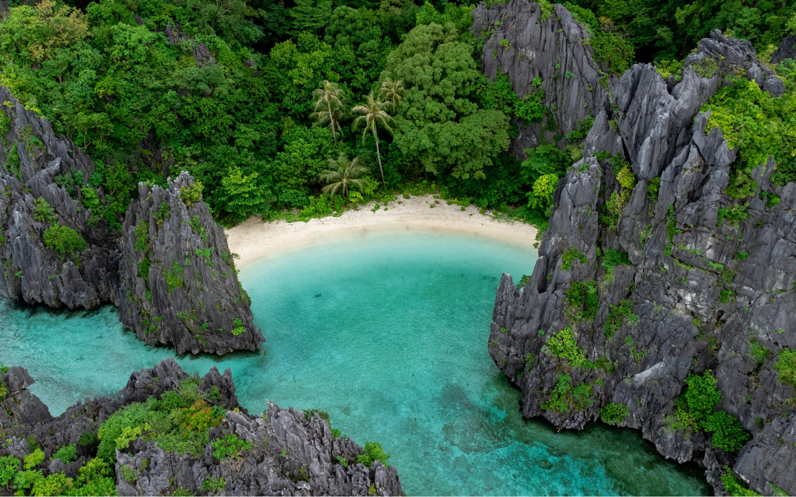 Best Time to Visit the Philippines: Month-by-Month Guide for International Travelers 1