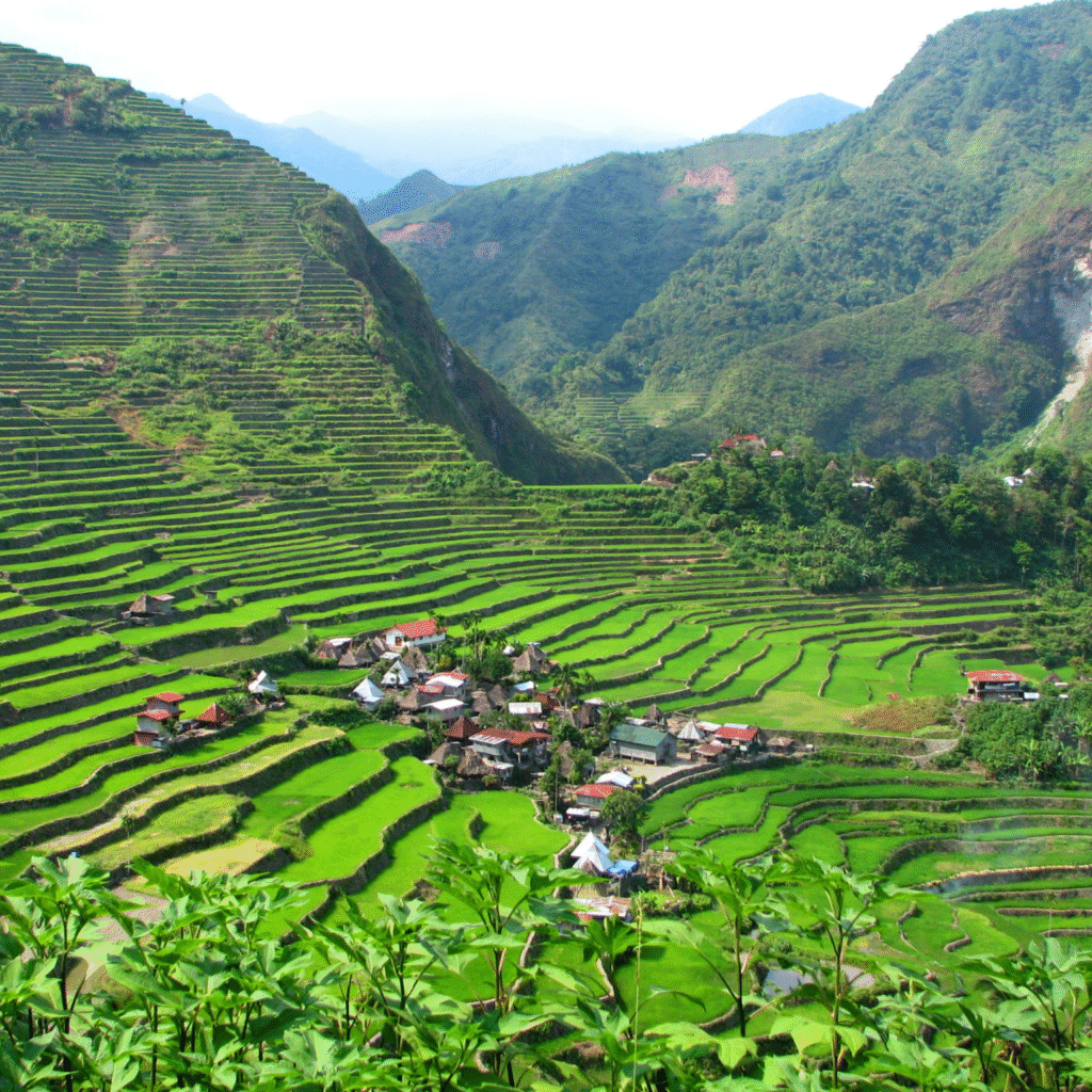 Website banner banaue