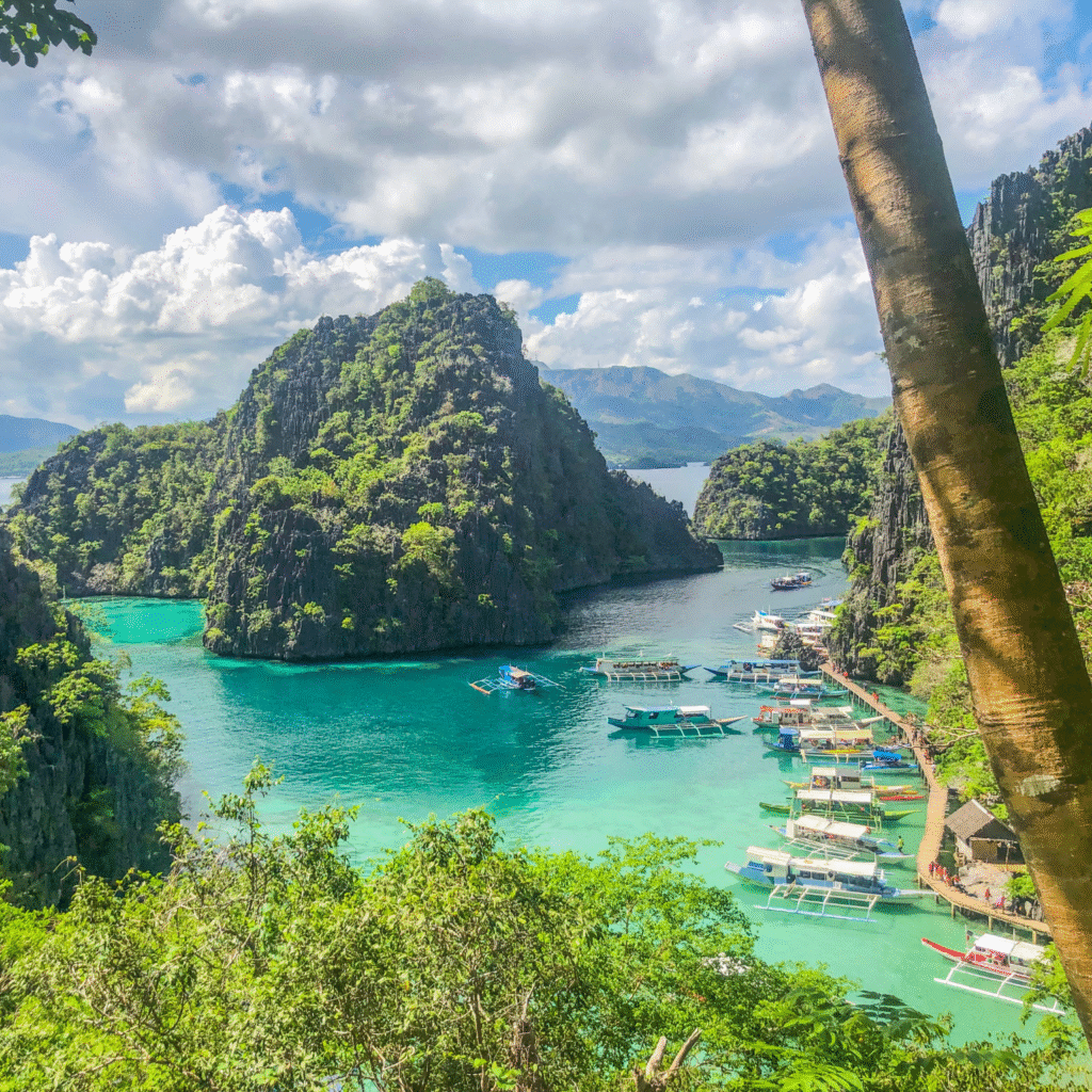 Website banner coron