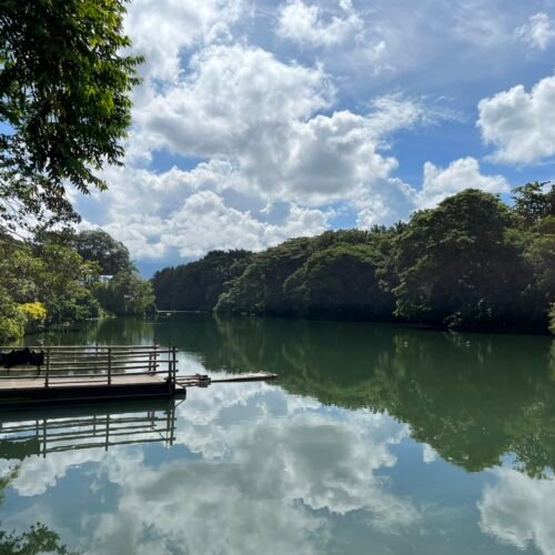 Lake Labasin at Villa Escudero, Quezon